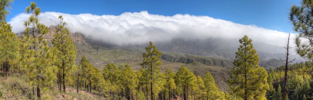 Kiefernwald und Wolkenwasserfall über die höchsten Berge von Gran Canaria, oberhalb von San Bartolome